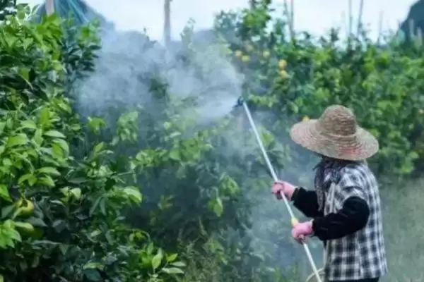图片[2]-咪鲜胺作用介绍(咪鲜胺可防治子囊菌和半知菌病害)？-会东网