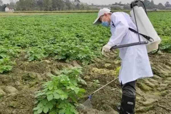 图片[4]-毒死蜱可灭杀鳞翅目、鞘翅目等害虫(毒死蜱灭杀害虫有何优势及范围)？-会东网