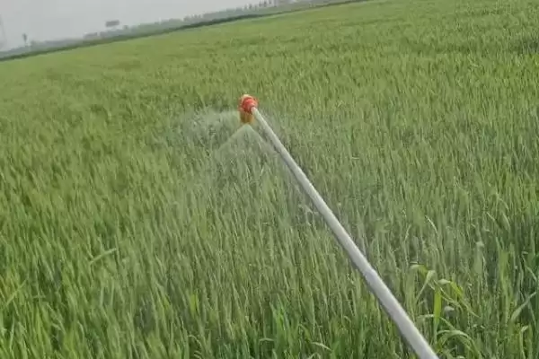 图片[3]-小麦灌浆期用药种类及针对害虫用药(小麦灌浆期能打啥药及针对害虫)？-会东网