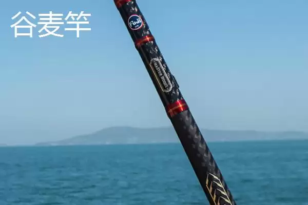 图片[12]-谷麦前打竿品牌推荐相关品牌(谷麦前打竿品牌推荐，一味、一击、青龙、魔星等品牌均为适宜选择)？-会东网