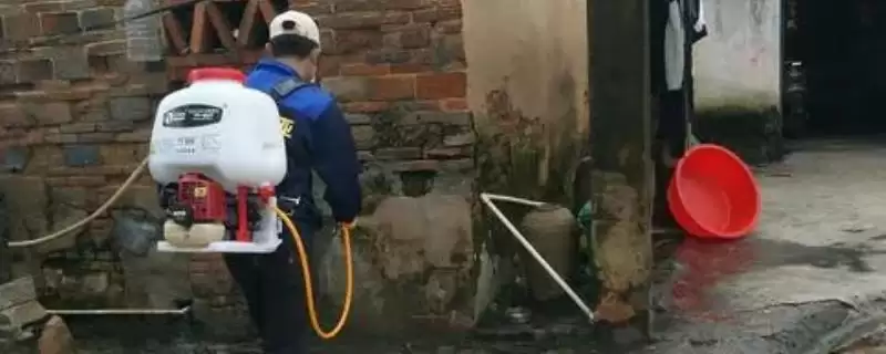 小型植保器械清洗方法及药物类型影响(小型植保器械咋清洗及药物影响)？-会东网