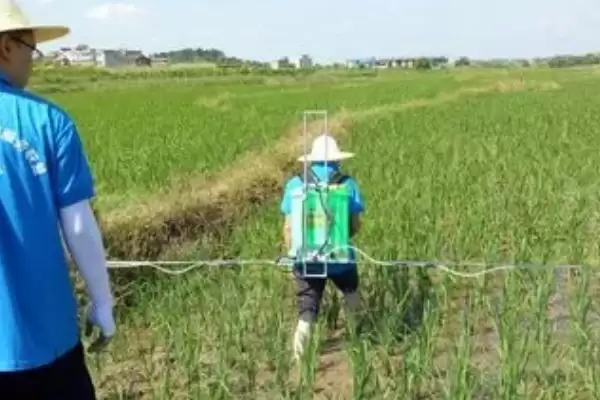 图片[3]-噻呋酰胺防治对象介绍(噻呋酰胺可防治纹枯病等病害)？-会东网