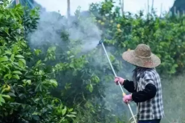 图片[5]-丙环唑作用和用途及防治病害情况(丙环唑有什么作用和用途及防治病害)？-会东网