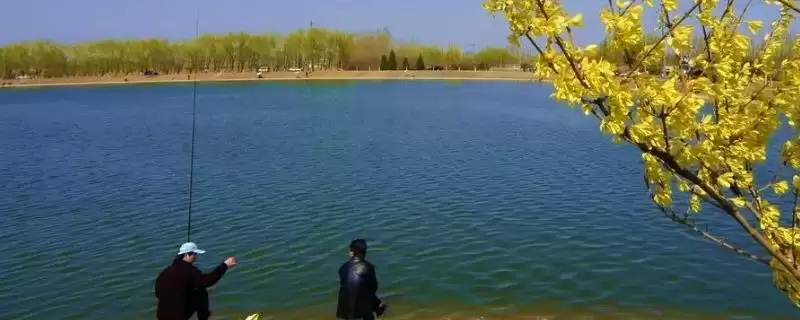 春天钓鱼蚯蚓和饵料的优劣(春天钓鱼用蚯蚓还是饵料，蚯蚓和饵料都有各自的优点和缺点)？-会东网