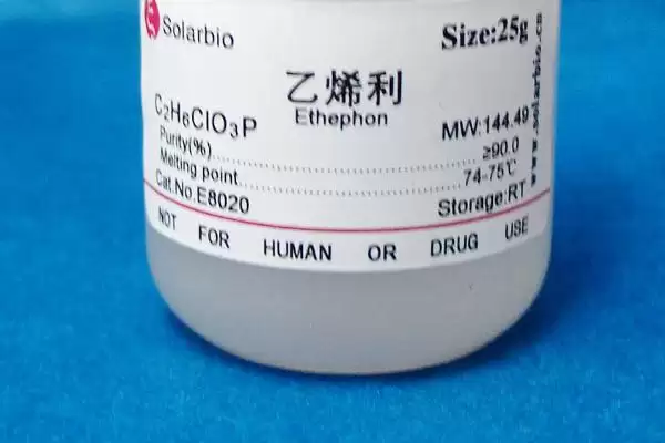 图片[2]-催熟小麦的常用药物种类(催熟小麦的药物有哪些，常用的有乙烯利、多效唑和磷酸二氢钾等)？-会东网