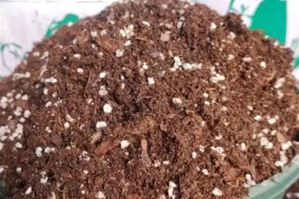图片[8]-黄瓜有苦味采取选良种等防治措施(黄瓜有苦味选良种等防治措施)？-会东网
