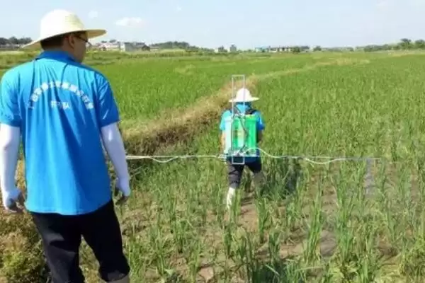 图片[4]-敌草隆的适用范围相关情况(敌草隆的适用范围，主要用于水稻、棉花、大豆等作物)？-会东网