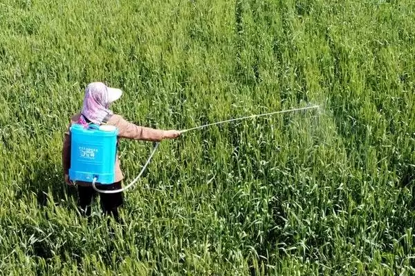 图片[2]-除草剂不同品种残留期不同(除草剂残留期与品种关系有哪些要点)？-会东网