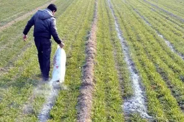 图片[9]-棚室内降低湿度方式介绍(棚室内降低湿度可选用无滴膜等)？-会东网