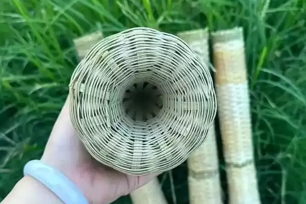 图片[2]-黄鳝笼以活鱼虾蚯蚓等为诱饵的要点(黄鳝笼以活鱼虾蚯蚓等为诱饵要点)？-会东网