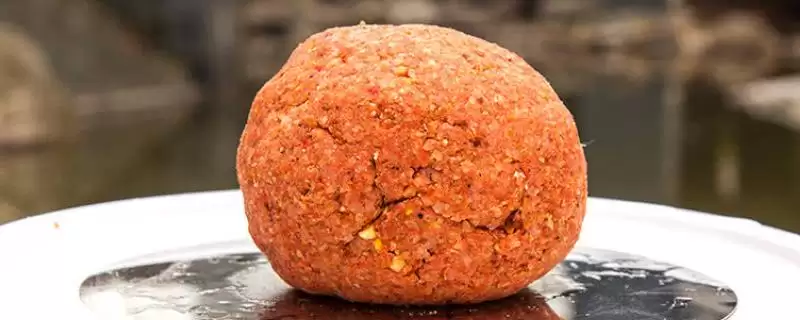 老鬼鱼饵的配方搭配相关要点(老鬼鱼饵的配方，搭配方法因垂钓对象而异)？-会东网