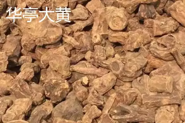 图片[9]-甘肃省民乐县的特产相关情况(甘肃省民乐县的特产，产出的苹果梨具有中国一代梨王的美誉)？-会东网