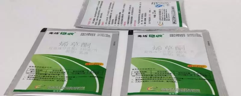 烯草酮使用效果最佳时期及说明(在什么时候用烯草酮效果好及说明)？-会东网
