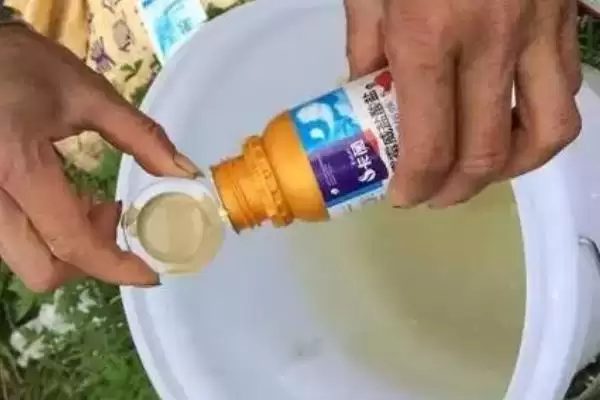 图片[4]-混配毒死蜱不可与碱性农药混用的要点(混配毒死蜱不可与碱性农药混用要点)？-会东网