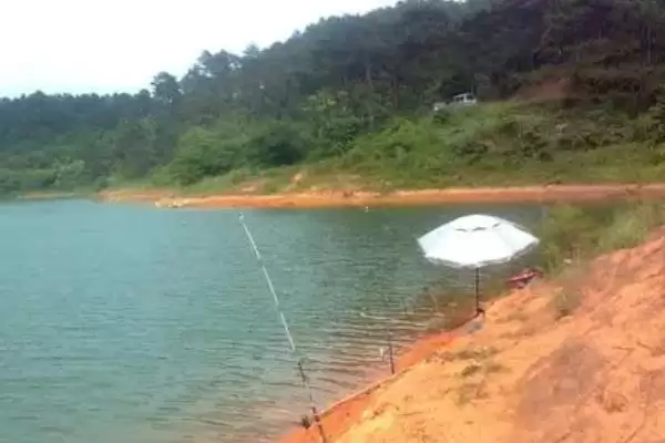 图片[2]-钓黄尾鱼上鱼快方法及主流钓法介绍(怎么钓黄尾鱼上鱼快及主流钓法介绍)？-会东网