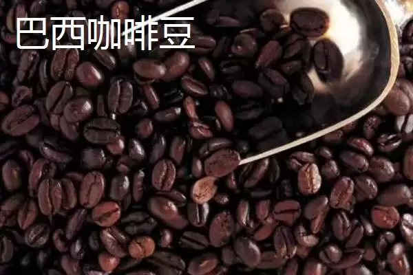 图片[4]-咖啡豆的种类及口感差异(咖啡豆的种类，口感均不同)？-会东网