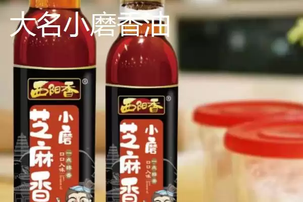 图片[6]-河北大名县的特产相关情况(河北大名县的特产，大蒜种全国驰名)？-会东网