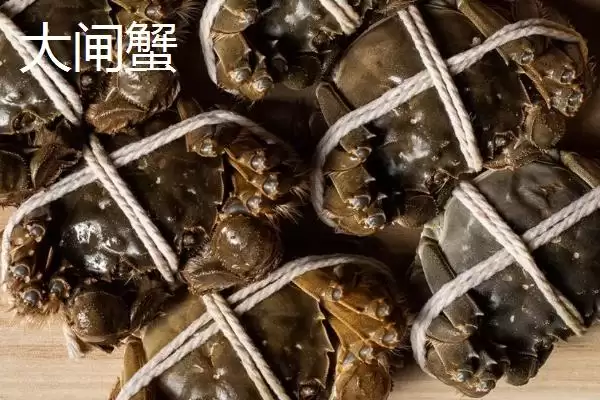 图片[3]-稻田蟹是在稻田中养成的大闸蟹(稻田蟹与大闸蟹关系有何特点)？-会东网