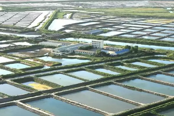 图片[5]-龙虾养殖基地分布介绍(湖南、重庆等地有龙虾养殖基地)？-会东网
