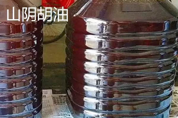 图片[7]-山西省山阴县特产介绍(山西省山阴县特产有油炸糕、荷藕等)？-会东网