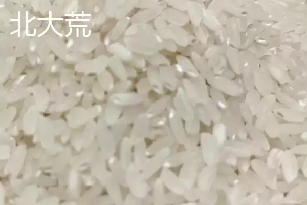 图片[2]-东北大米北大荒、金龙鱼等品牌受青睐(东北大米品牌受青睐有何优势)？-会东网