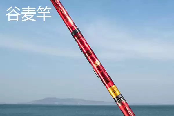 图片[2]-谷麦竿和前打竿的区别情况(谷麦竿和前打竿的区别，是同种鱼竿的不同称谓)？-会东网