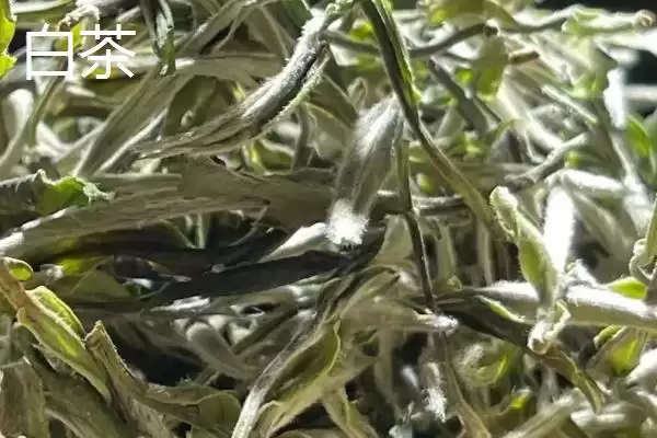 图片[13]-江苏名茶推荐相关品牌情况(江苏名茶推荐，介绍排行榜前十名)？-会东网