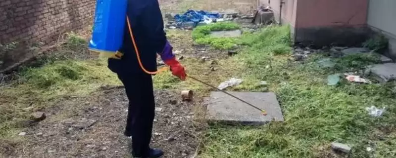 打完除草剂不同种类生效时间不同(打完除草剂生效时间与种类关系有何要点)？-会东网