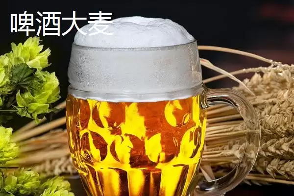图片[4]-甘肃省民乐县的特产相关情况(甘肃省民乐县的特产，产出的苹果梨具有中国一代梨王的美誉)？-会东网