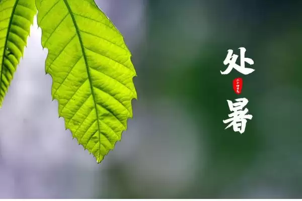 图片[2]-处暑节气意味着进入气象意义的秋天(处暑节气进入气象秋天有何特点)？-会东网