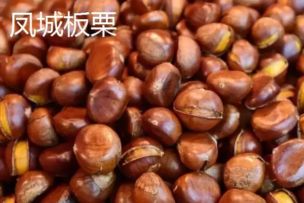 图片[4]-辽宁省丹东市的特色水果相关情况(辽宁省丹东市的特色水果，夏家村草莓达到无公害绿色食品标准)？-会东网