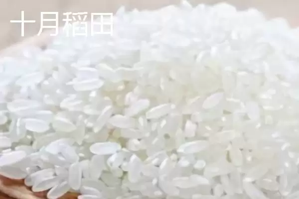 图片[7]-东北大米北大荒、金龙鱼等品牌受青睐(东北大米品牌受青睐有何优势)？-会东网
