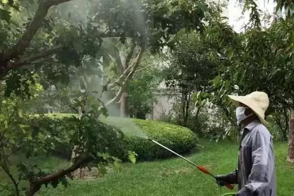 图片[7]-毒死蜱可灭杀鳞翅目、鞘翅目等害虫(毒死蜱灭杀害虫有何优势及范围)？-会东网