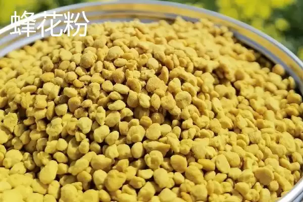 图片[6]-蜂产品之间的区别相关情况(蜂产品之间的区别，来源各不相同)？-会东网