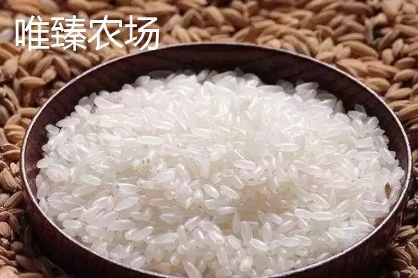图片[11]-东北大米北大荒、金龙鱼等品牌受青睐(东北大米品牌受青睐有何优势)？-会东网