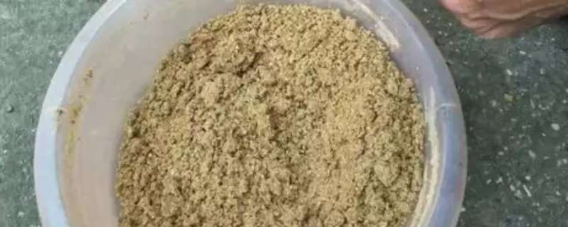 南北鲫饵料介绍(南北鲫是草莓酸甜香型饵料)?-会东网