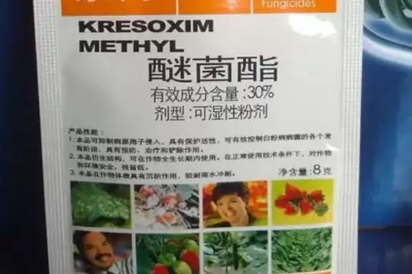 图片[3]-嘧菌酯能防治白粉病等病害是什么原理？-会东网