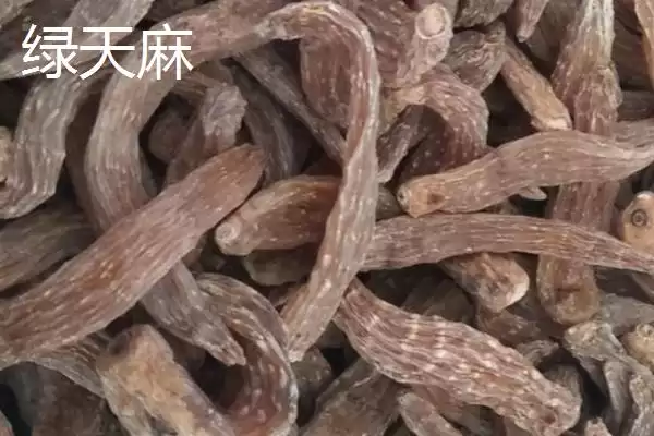 图片[3]-品质好的天麻种子红天麻、绿天麻等为啥好？-会东网