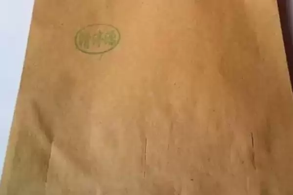 图片[4]-枇杷套袋为啥能减轻病虫害、提高商品率？-会东网