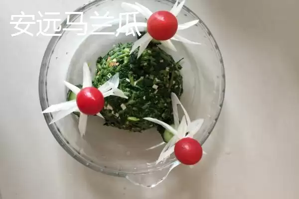 图片[5]-江西省安远县特产安远马兰瓜凭啥跻身港澳市场？-会东网