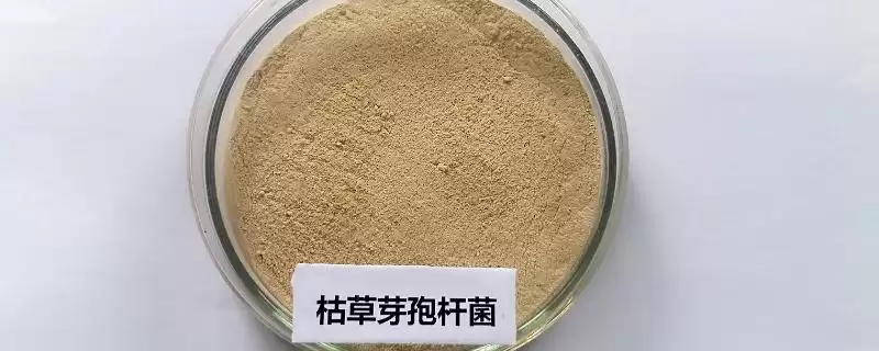 枯草芽孢杆菌有啥用？对农作物有抗拮杀菌作用-会东网