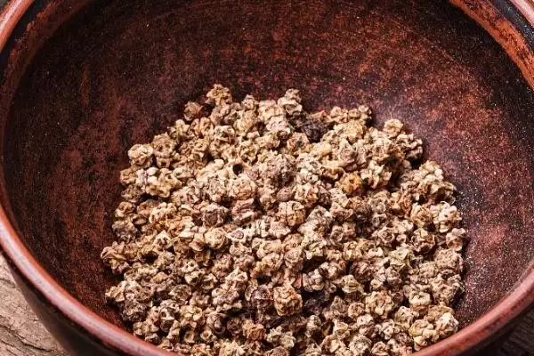 图片[4]-牛皮菜种子全国各地菜市场都有出售为啥？-会东网