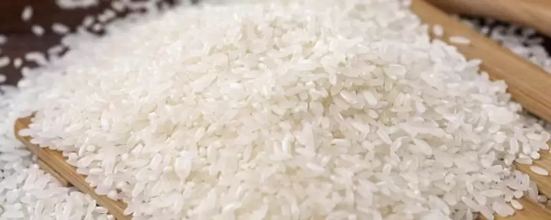 正宗五常大米价格受品质和批发量影响?-会东网