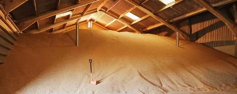 水稻储存温度不能超过多少度(水稻储存温度通常不可超过20℃)-会东网