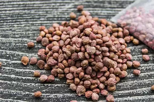 图片[2]-夏天种菠菜咋处理种子，剥切果皮何作用？-会东网