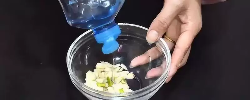 自制杀虫剂分为哪三种方法呢?-会东网