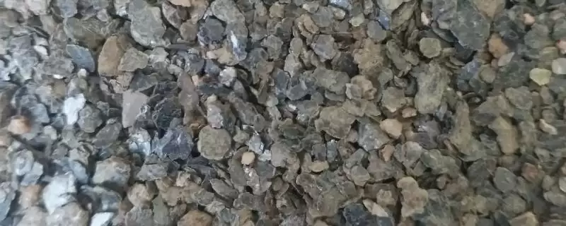 什么是花木扦插常用的基质(花木扦插常用基质有泥炭土等几种)-会东网