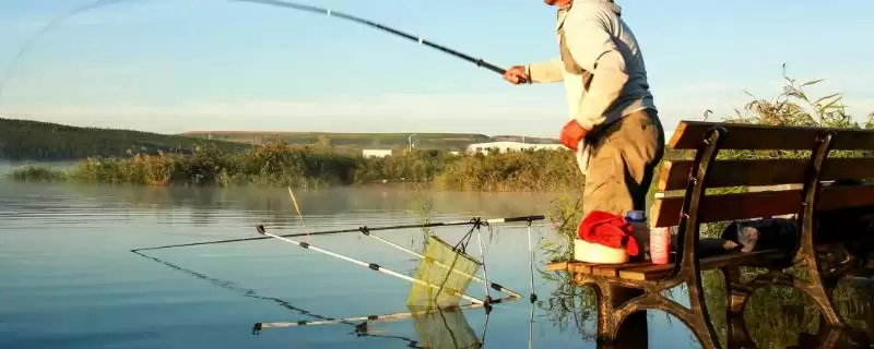 用油糠钓鱼添加拉丝粉味道会更浓烈吗？-会东网