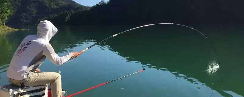 钓黑鱼选动物饵料或自制饵料,哪种效果更好?钓黑鱼的饵料还有哪些选择?-会东网