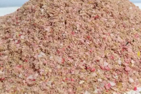 图片[4]-钓黑鱼选动物饵料或自制饵料，哪种效果更好？钓黑鱼的饵料还有哪些选择？-会东网